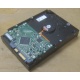 Жесткий диск HP 250Gb 7200 rpm 432337-001/ 399699-001 / 397377-004 (Шатура)