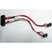 SATA-кабель для корзины HDD HP 451782-001 459190-001 для HP ML310 G5 (Шатура)