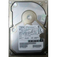 Жесткий диск 18.2Gb IBM Ultrastar DDYS-T18350 Ultra3 SCSI (Шатура)