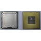 Процессор Intel Celeron D 336 (2.8GHz /256kb /533MHz) SL98W s.775 (Шатура)
