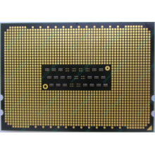 AMD Opteron 6128 OS6128WKT8EGO (Шатура)